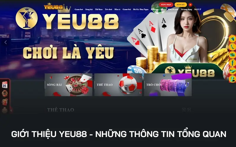 Những thông tin tổng quan