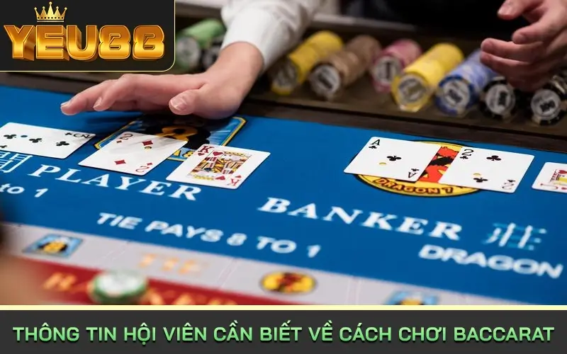 Thông tin hội viên cần biết về cách chơi baccarat