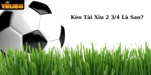 avatar kèo tài xỉu 2 3/4 là sao