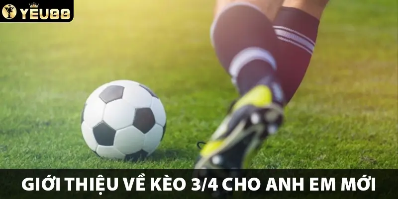 Giới thiệu về kèo 3/4 cho anh em mới